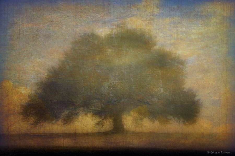 The tree years